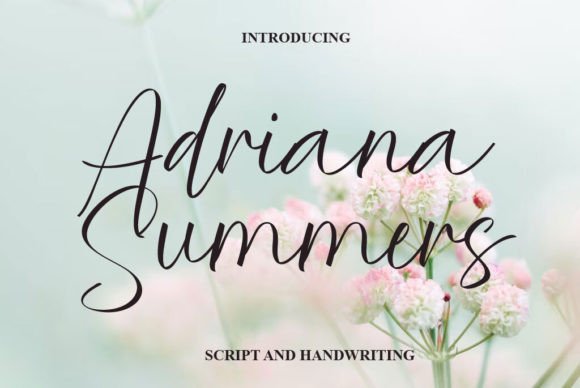 Adriana Summers: A Refined Script Font for Digital Brand Moments