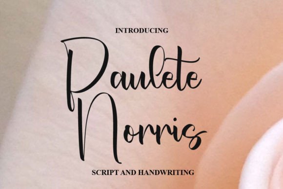 Paulete Norris: A Handwritten Font That Makes Your Brand Feel Human