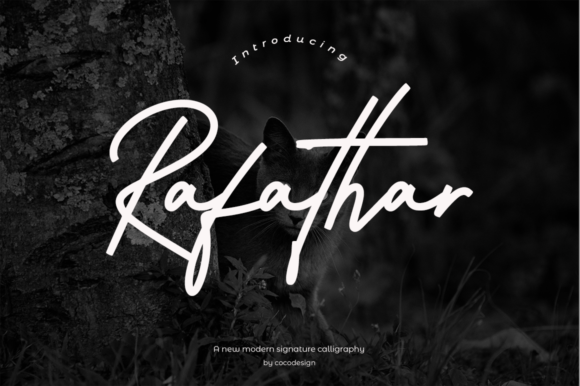 Rafathar Script: A Warm, Elegant Display Font for Digital Branding